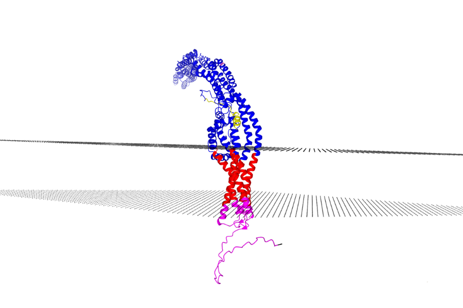 Membrane Protein