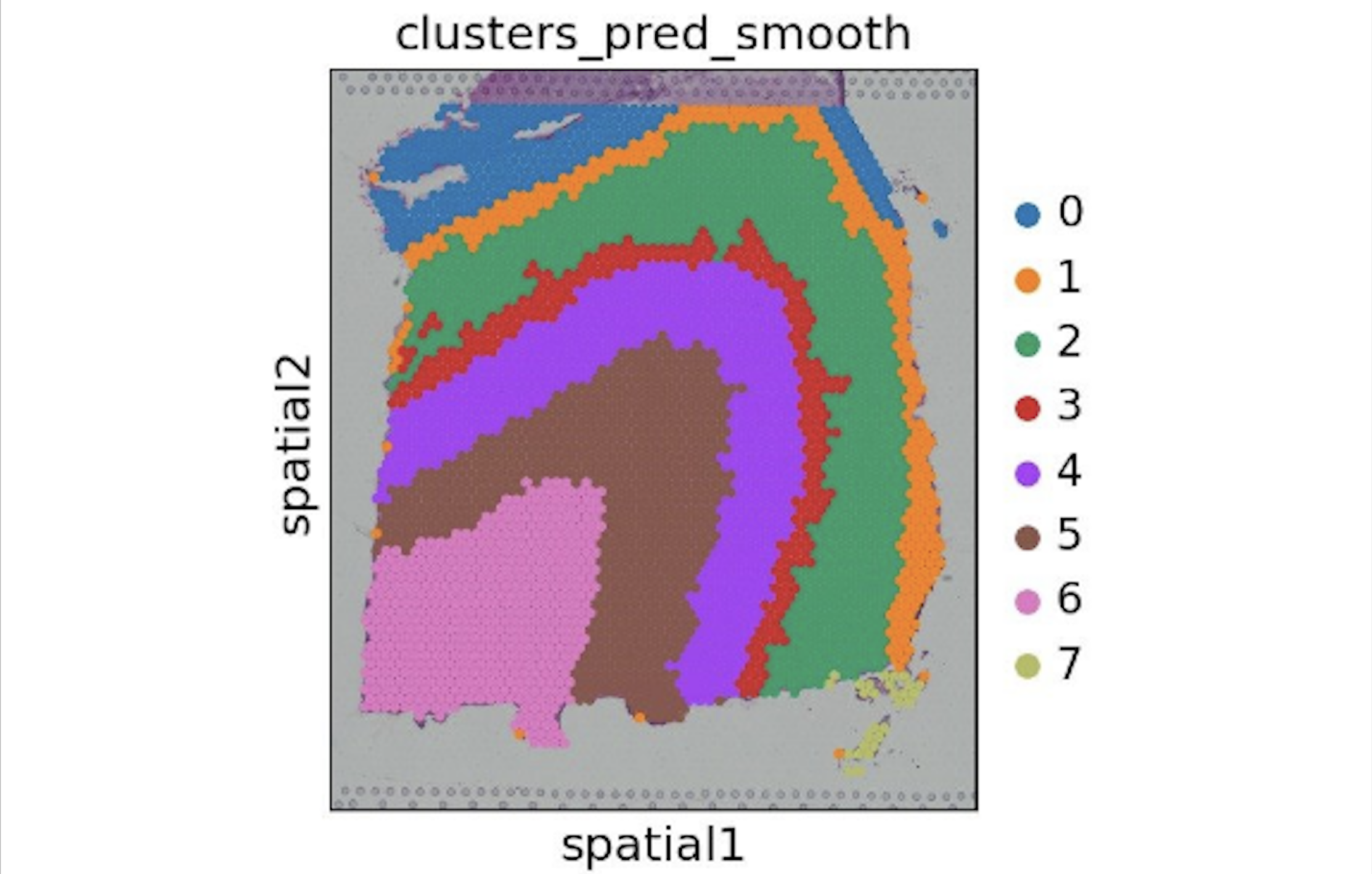 Mouse Brain Clustered