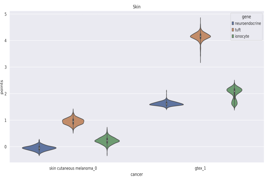 Violin Plot