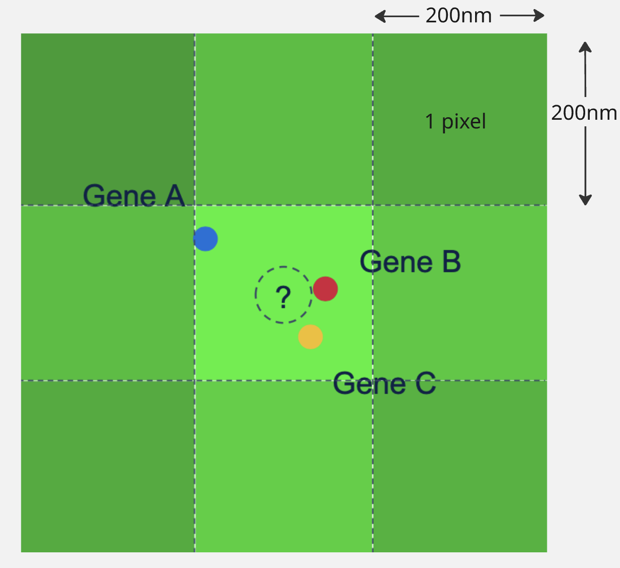 sparse encoding explanation with example of 3 genes expressed close together